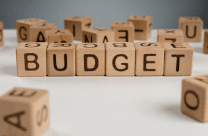 Il budget patrimoniale